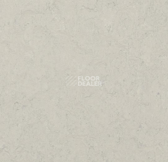 Линолеум Forbo Marmoleum Decibel on Order 386035 silver shadow фото 1 | FLOORDEALER